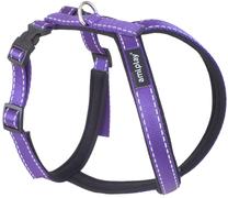 Petnešos šunims Amiplay Reflective, violetinė sp., 310 - 380 mm, 31-38