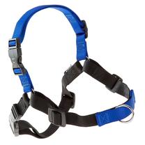 Petnešos šunims Ferplast Coach, mėlyna sp., 640 - 910 mm x 20 mm, L