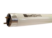 Lemputė Polamp Liuminescencinė, T8, 6500 °K, G13, 58 W, 5200 lm