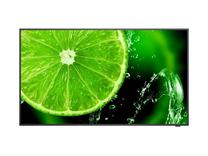 Monitorius NEC E438, IPS, 60 Hz, 43"