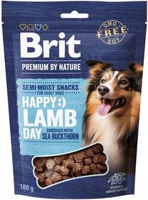 Gardums suņiem Brit Premium By Nature, jēra gaļa, 0.180 kg