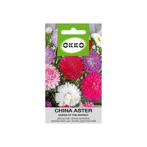 Sėklos Okko ratilis Queen of the Market, 0.5 g