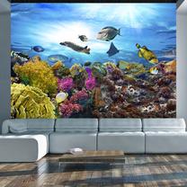 Fototapete Artgeist Coral reef SNEW011383SAM, 70 cm x 98 cm