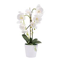 Dirbtinė gėlė vazone, orchidėja, įvairių spalvų, 60 cm