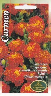 Sēklas Kurzemes sēklas samtenes Carmen Seeds, 4 g