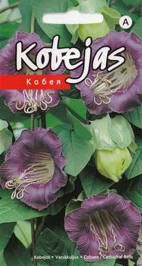Sēklas kobejas Purple Seeds, 3 g