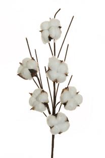 Dirbtinė šakelė Cotton, ruda sp./balta sp., 65 cm