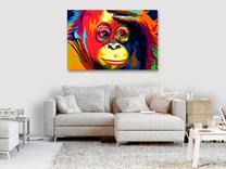 Reprodukcija Artgeist Colourful Orangutan N7987-DKPWD, 120 cm x 80 cm