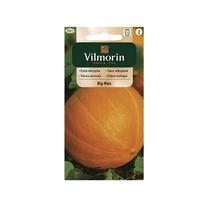 Sėklos Vilmorin, moliūgai Big Max, 6.3 g