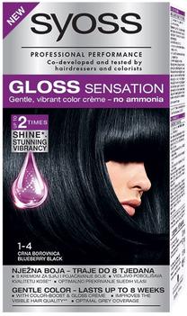 Matu krāsa Syoss Gloss Sensation, blueberry black krās., Blueberry Black 1-4, 115 ml