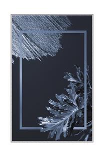 Kiliminis takas Conceptum Hypnose HMNT794, įvairių spalvų, 300 cm x 80 cm