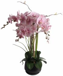 Dirbtinis augalas vazone, orchidėja Home4you Garden Queen, žalia sp./rožinė sp., 68 cm x 26 cm