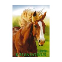 Kalendorius, įvairių spalvų, 34 cm x 24 cm