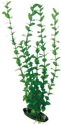 Декорация аквариума Croci Rotala MD, зеленый цв.