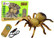 Интерактивная игрушка паук Lean Toys Animal Paradise, 15.5 см, коричневый цв.