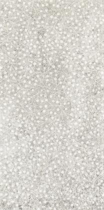 Flīzes, keramika Paradyz Ceramika, 60 cm x 20 cm, pelēka krās.