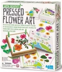 Набор для творчества 4M Dried Flowers, многоцветный