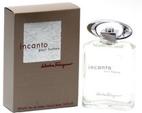 Tualetinis vanduo Salvatore Ferragamo Incanto Pour Homme, 100 ml