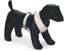 Petnešos šunims Beeztees Harness, rožinė sp., 360 - 520 mm x 160 mm, 16 x 36 x 52 cm
