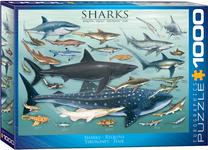 Dėlionė Eurographics Sharks 6000-0079, 67.6 cm x 48.9 cm, 1000 vnt., įvairių spalvų