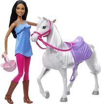 Lėlė Mattel Barbie Barbie And Horse HCJ53, 29 cm, įvairių spalvų