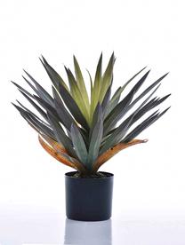 Mākslīgais augs podiņā, juka, zaļa krās., 50 cm