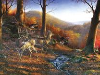 Dėlionė Graf-ika Meeting In The Shawnee Hills 477429, 51 cm x 69 cm, 1000 vnt., įvairių spalvų