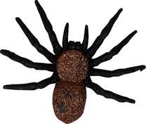 Dekoracija Spider 746952, juoda sp., 11 cm