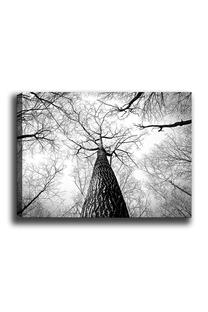 Reprodukcija Wallity 112, 100 cm x 70 cm