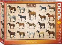 Dėlionė Eurographics Horses, 67.6 cm x 48.9 cm, 1000 vnt., ruda sp.