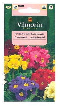 Sėklos Vilmorin raktažolė