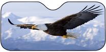 Priekšējā stikla šķērssiena Bottari Eagle, 80 cm x 150 cm