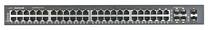 Jagaja (Switch) ZyXEL GS2210-48