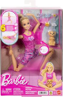 Lelle ar aksesuāriem Mattel Barbie Moves JJN55, 30 cm, daudzkrāsaina