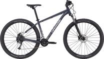 Dviratis kalnų Cannondale, 29 ", pilka sp.