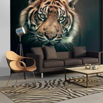 Fototapete Artgeist Bengal Tiger, 270 cm x 350 cm