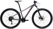 Dviratis kalnų Liv Tempt 3GE 3GE, 29 ", L rėmas, violetinė sp.