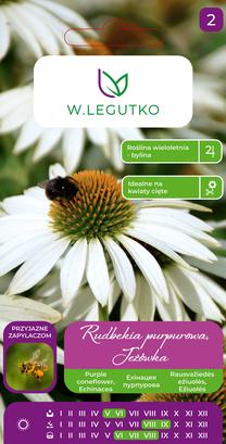 Sėklos ežiuolės WHITE, 0.5 g