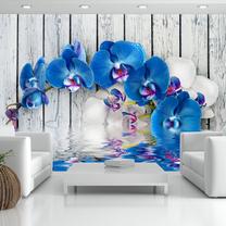 Fototapete Artgeist Cobaltic Orchid MNEW010120SAM, 105 cm x 147 cm