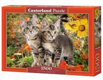Dėlionė Castorland Kitten Buddies 1500 el. C-151899-2, 1500 vnt.