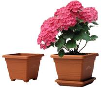 Gėlių vazonas Plastia BEGONIA D25 TERRACOTA, plastikinis, 25 cm x 25 cm, Ø 25 cm, ruda sp.