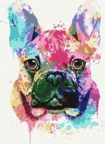 Tapymas pagal skaičius Picture Paint It! French Bulldog, įvairių spalvų