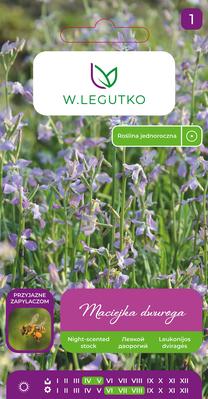 Sėklos leukonija PINK VIOLET, 5 g