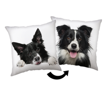 Декоративная подушка Border Collie, белый цв./черный цв., 40 см x 40 см