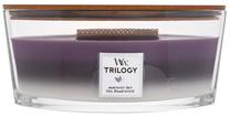 Žvakė, aromatinė WoodWick Ellipse Trilogy Amethyst Sky, 40 h, 453.6 g, violetinė sp.