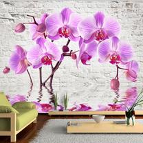 Fototapetas Artgeist Purple Delight MNEW011503, 105 cm x 105 cm