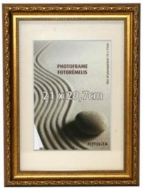 Nuotraukų rėmelis Fotolita 204-546, 60 cm x 40 cm, aukso sp.