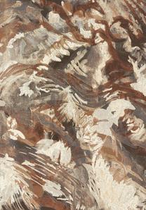 Paklājs Domoletti Argentum, daudzkrāsains/brūna krās., 230 cm x 160 cm