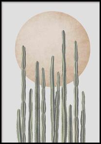 Pilt DecoKing Nevada, 50 cm x 70 cm
