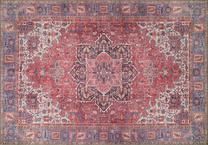 Kilimas Conceptum Hypnose Soul Chenille AL 123, įvairių spalvų, 310 cm x 210 cm
